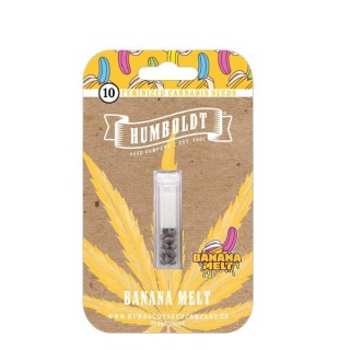 Banana Melt fem Humboldt Seeds Company