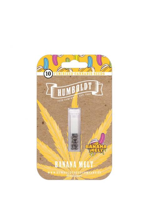 Banana Melt fem Humboldt Seeds Company