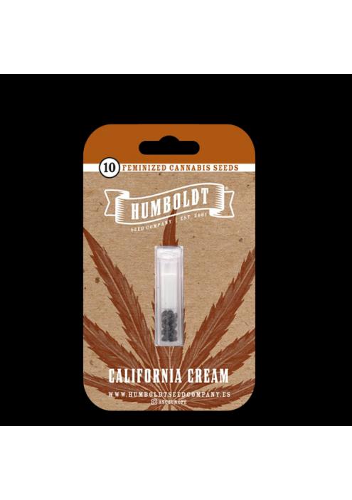 California Cream fem Humboldt Seeds Company