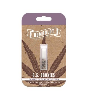 G.S. Cookies fem Humboldt Seeds Company