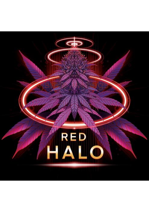 Red Halo  7 u. fem Conscious Genetics