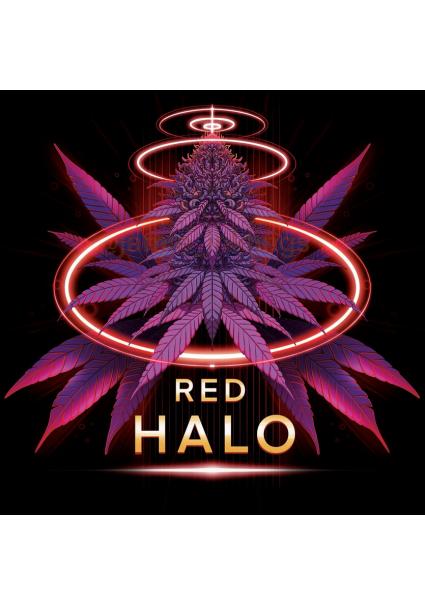 Red Halo  7 u. fem...