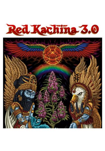 Red Kachina 3.0 - 7 u. fem...