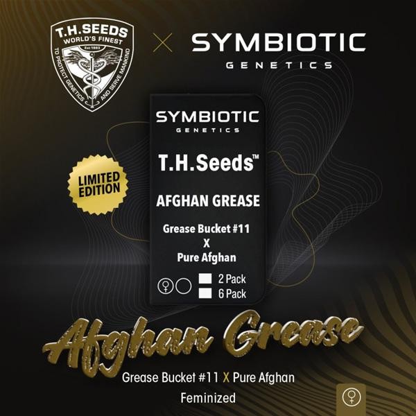 Afghan Grease fem. T.H. Seeds X Symbiotic Genetics