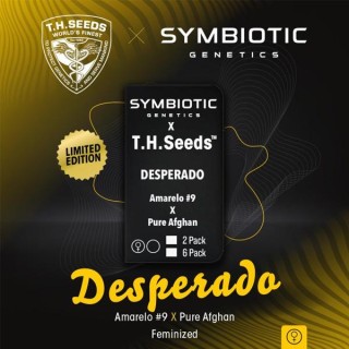 Desperado fem. T.H. Seeds X Symbiotic Genetics
