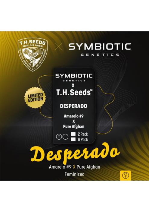Desperado fem. T.H. Seeds X Symbiotic Genetics