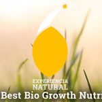 The Best Bio Growth Nutrients