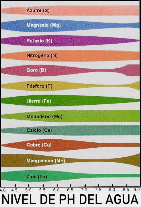 nutrients ph absorption