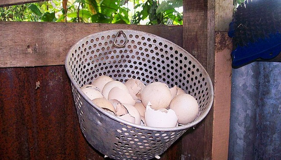 Como hacer huevo poché con cáscara