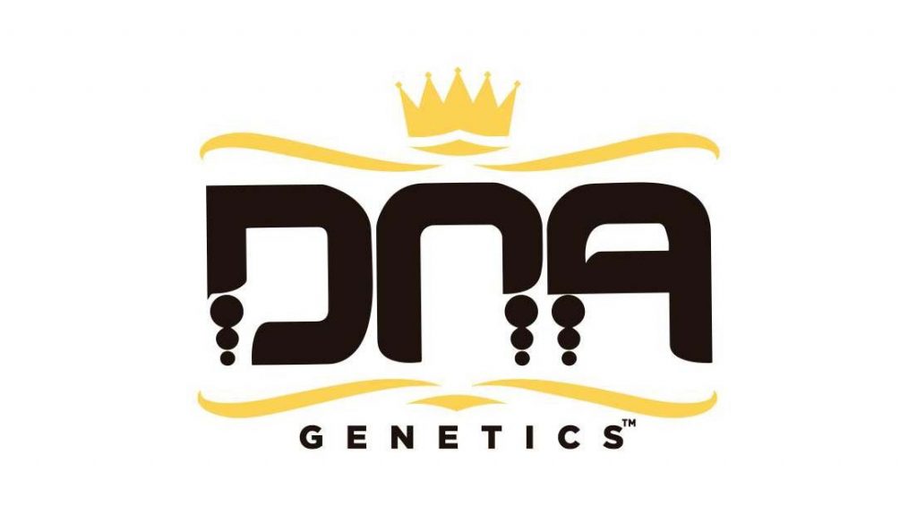 Melhores bancos americanos DNA Genetics