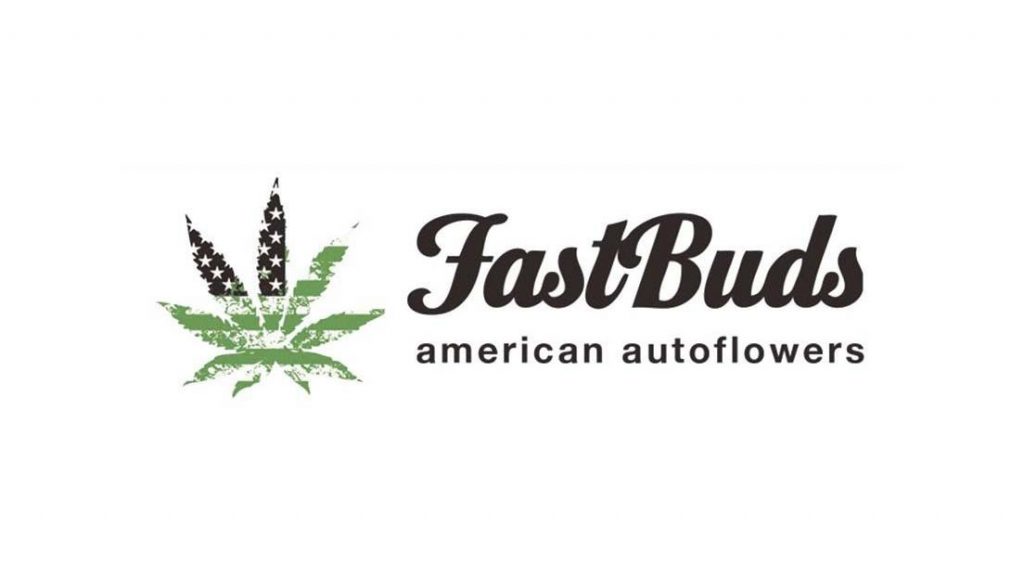 Banco americano Fast Buds