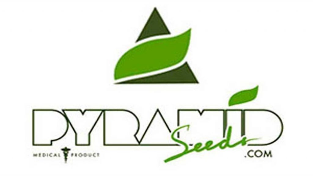 Banco de Espanha Pyramid Seeds