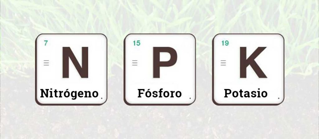 NPK elementos para fertilizar a canábis