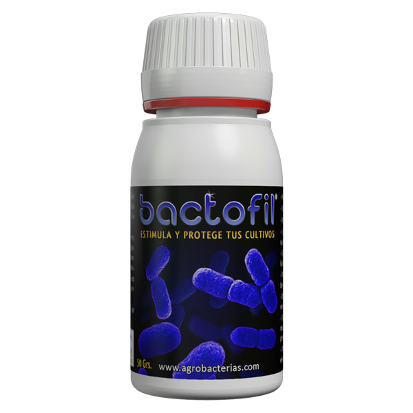Bactofil fusarium