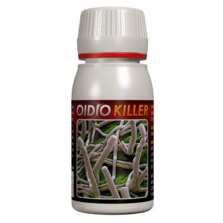 Oidio Killer canabis