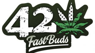 fast buds