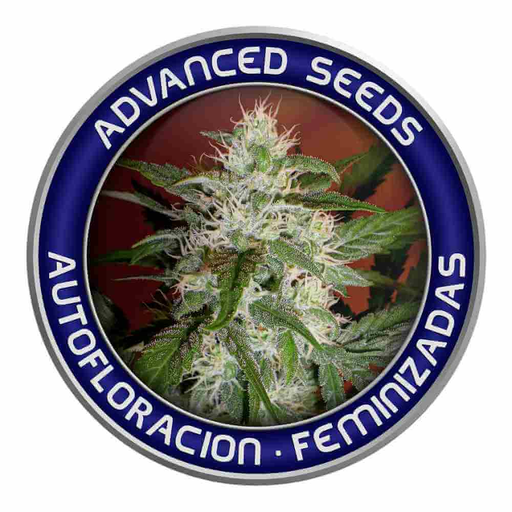 banco-de-semillas-de-marihuana-advanced-seeds