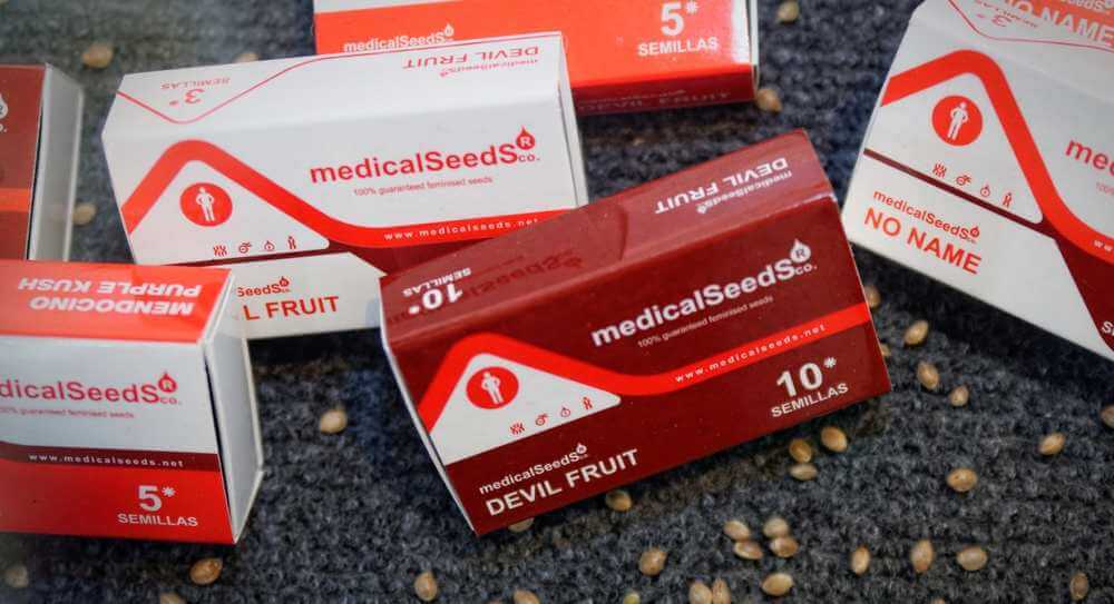 banco de semillas de marihuana medical seeds