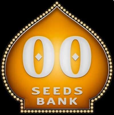 Cheese Berry | 00 Seeds