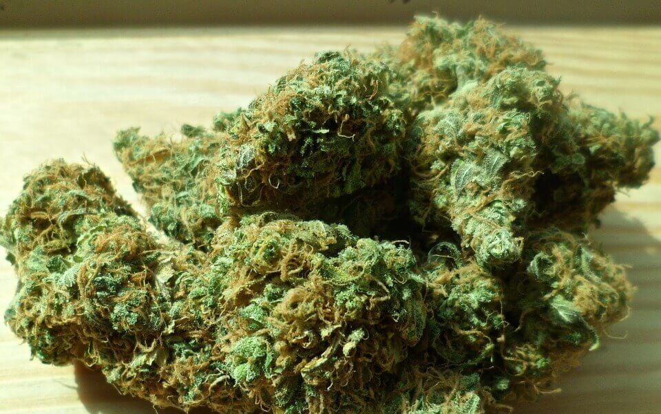 Cannabis medicinal tension