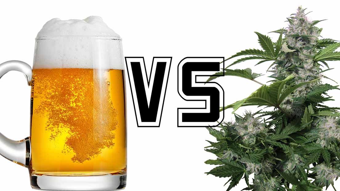 Alcohol VS Marihuana ¿Cuál es la droga más peligrosa?