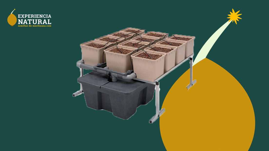 kits de cultivo hidropónico