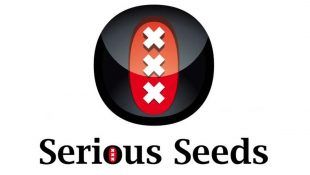 Serious Seeds es uno de lo sbancos de semilla sde marihuana con más tradición en Europa.