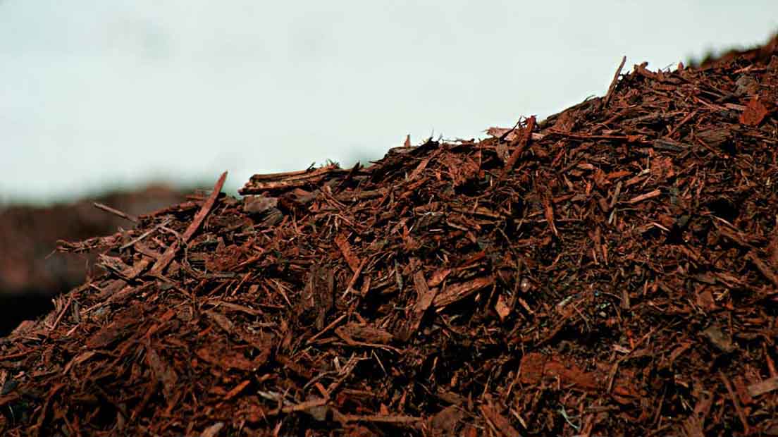 El acolchado tiene la propiedad de alimentar a las plantas y protegerlas.