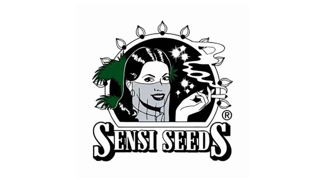 Uno de los mejores bancos de semillas de Holanda en Sensi Seeds por su amplio catálogo.