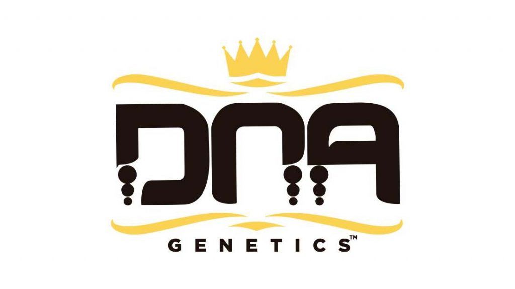 DNA Genetics es un banco de semillas americano