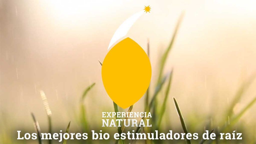 Los mejores bio estimuladores de raices