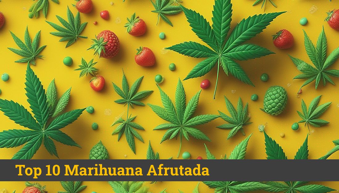 Marihuana Afrutada | Top 10 de Aroma a Frutas