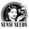 Sensi Seeds | Semillas de marihuana regulares