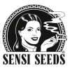 Comprar sementes Sensi Seeds autoflorescentes baratas | Sensi Seeds Auto
