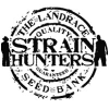 Strain Hunters feminizadas | Comprar semillas de marihuana