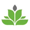 Female Seeds | Autoflowering Marijuana Seeds