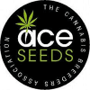 Comprar Ace Seeds feminizadas baratas | Ace Seeds Feminizadas