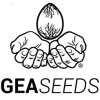 Sementes de canábis GEA Seeds autoflorescentes