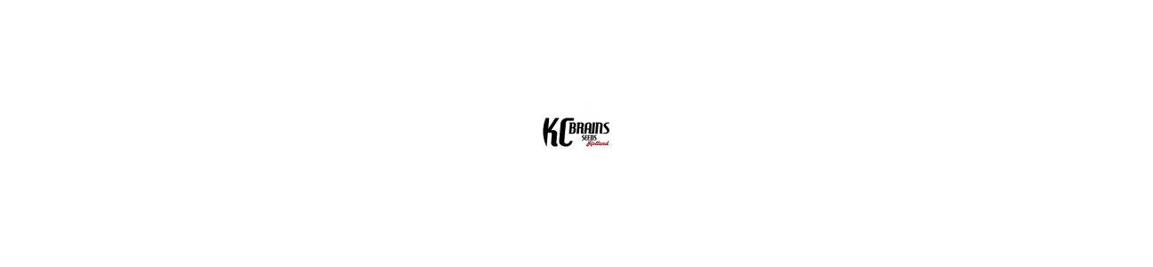 KC BRAINS