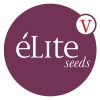 Comprar Elite Seeds feminizadas baratas | Sementes feminizadas