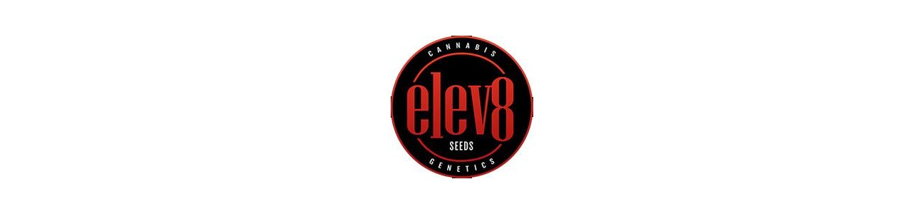 ELEV8 SEEDS