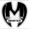 Monster Genetics Autoflowering Seeds
