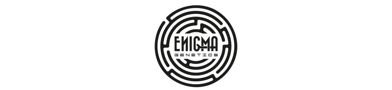 Enigma Genetics