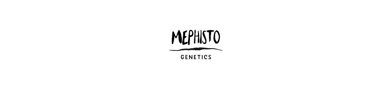 Mephisto Genetics