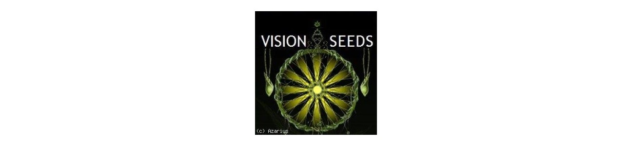 Vision Seeds 