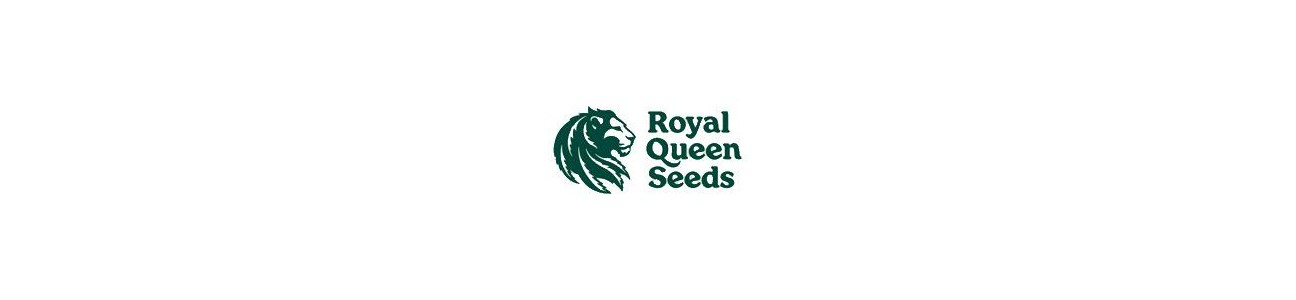 ROYAL QUEEN