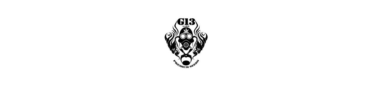 G13 labs