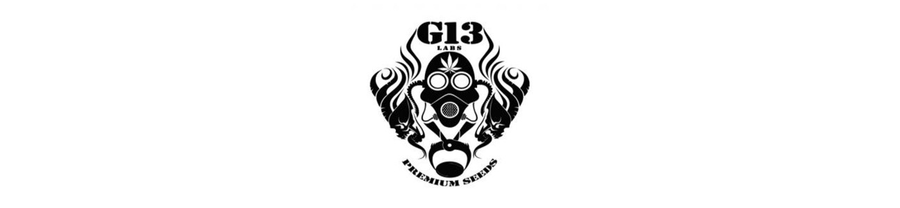 G13 labs