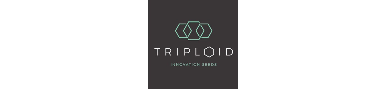 Triploid Genetics