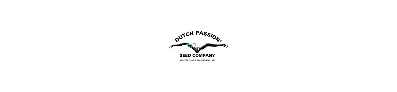 Dutch Passion Regulares